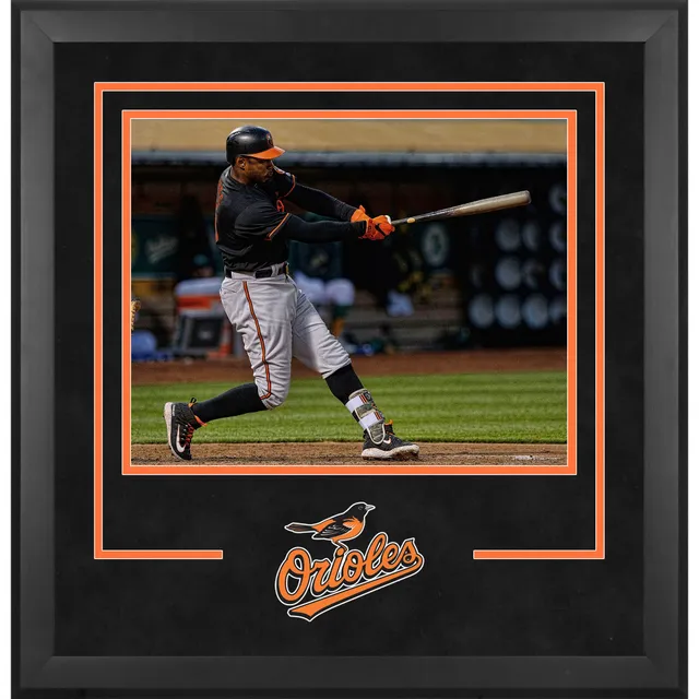 Lids Houston Astros Fanatics Authentic Deluxe Framed 8 x 10 Vertical  Photograph Frame with Team Logo