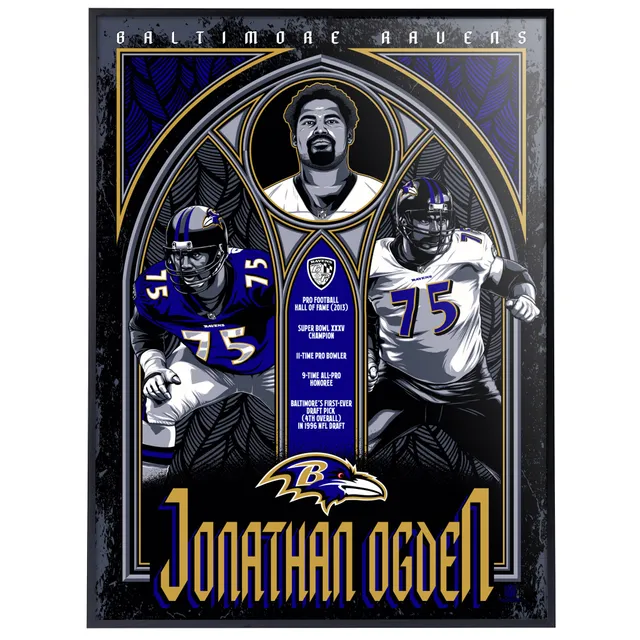 Lids Jonathan Ogden Baltimore Ravens Nike Retired Player Jersey - Black