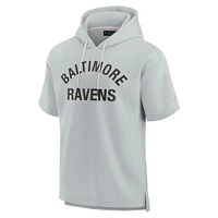 Sweat à capuche unisexe Fanatics gris Baltimore Ravens Elements en polaire super douce manches courtes