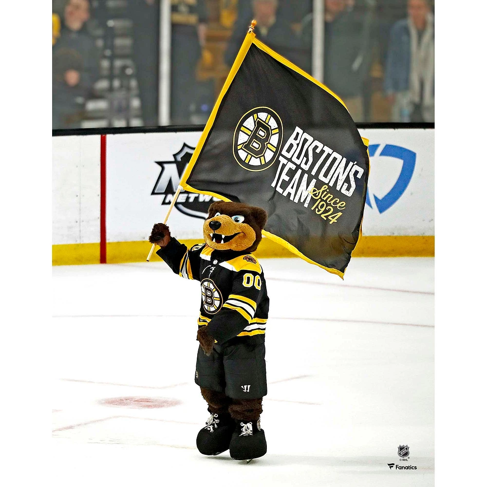Blades Boston Bruins Unsigned Waving Flag Photograph