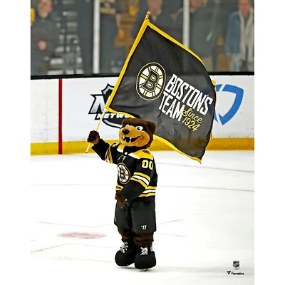 Blades Boston Bruins Unsigned Waving Flag Photograph