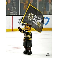 Blades Boston Bruins Unsigned Waving Flag Photograph