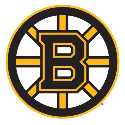 Boston Bruins 36'' x 36'' Team Logo Repositionable Wall Decal