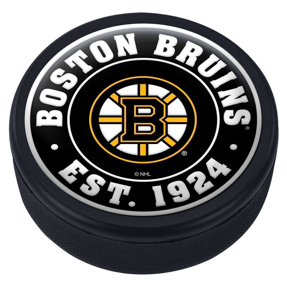 Boston Bruins Domed Team Established Puck