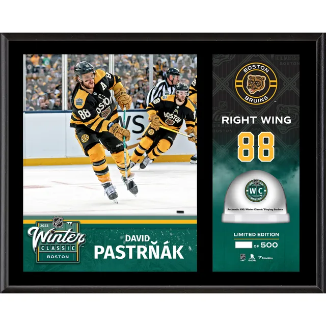 WinCraft Boston Bruins 2022 NHL Stanley Cup Playoffs Multi-Use