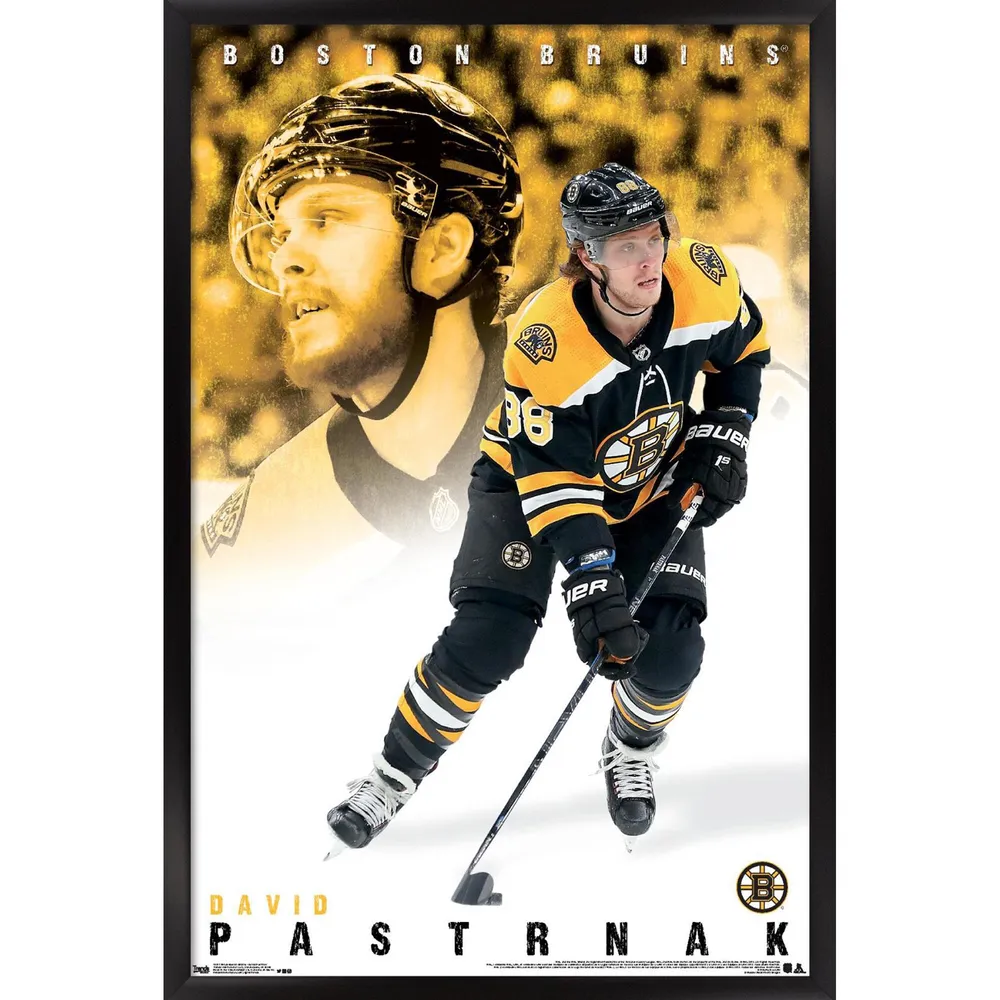 David Pastrnak Boston Bruins Adidas Primegreen Authentic NHL
