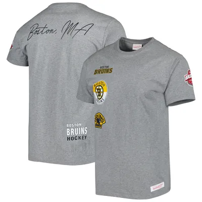 Men's Mitchell & Ness Heather Gray Boston Bruins City Collection T-Shirt