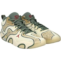 Jayson Tatum Boston Celtics Autographed Game-Used Tan Jordan Brand Shoes vs. Indiana Pacers on December 29, 2024