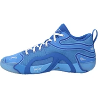 Jayson Tatum Boston Celtics Game-Used Blue Jordan Brand Shoes vs. New York Knicks on February 23, 2025