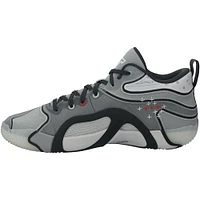 Jayson Tatum Boston Celtics Game-Used Gray Jordan Shoes vs. Los Angeles Lakers on January 23, 2025