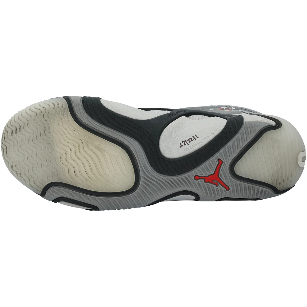 Jayson Tatum Boston Celtics Game-Used Gray Jordan Shoes vs. Los Angeles Lakers on January 23, 2025