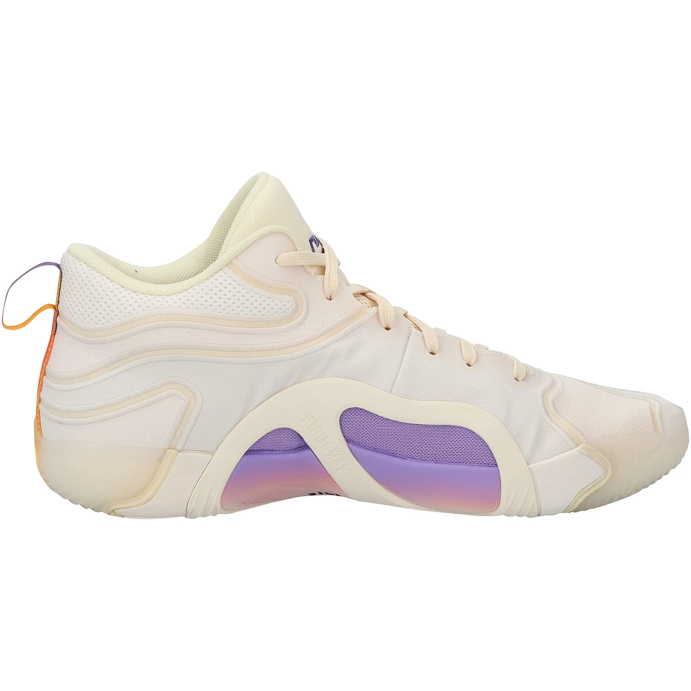 Jayson Tatum Boston Celtics Game-Used Tan Jordan Brand Shoes vs. Philadelphia 76ers on February 20, 2025