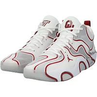 Jayson Tatum Boston Celtics Game-Used White/Red Jordan Shoes vs. Toronto Raptors on January 15, 2025