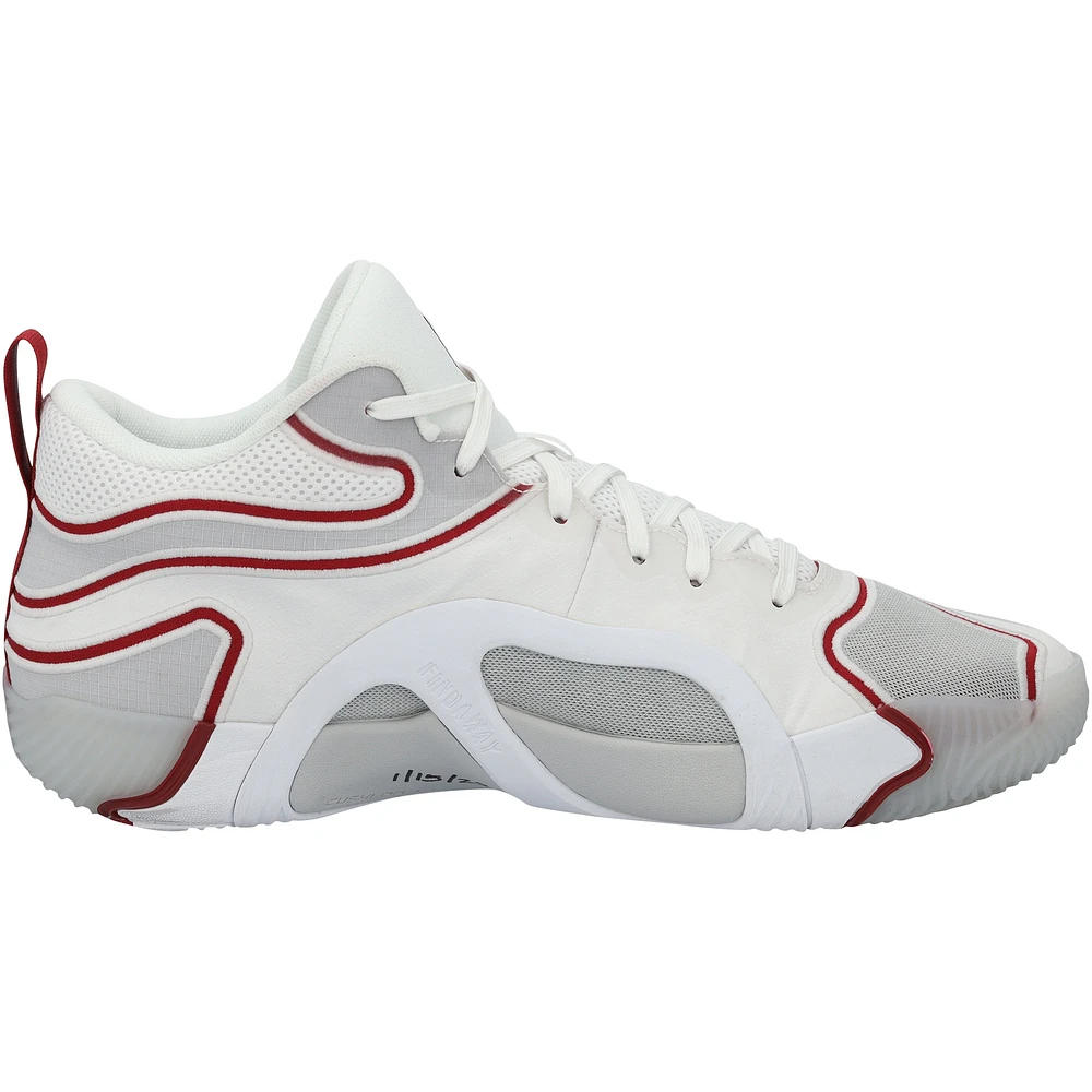 Jayson Tatum Boston Celtics Game-Used White/Red Jordan Shoes vs. Toronto Raptors on January 15, 2025
