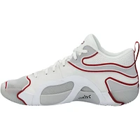 Jayson Tatum Boston Celtics Game-Used White/Red Jordan Shoes vs. Toronto Raptors on January 15, 2025