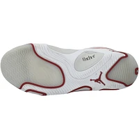 Jayson Tatum Boston Celtics Game-Used White/Red Jordan Shoes vs. Toronto Raptors on January 15, 2025