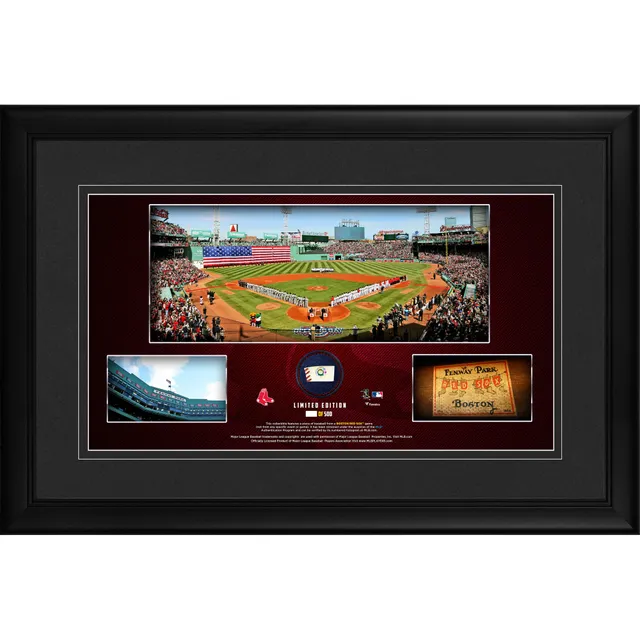 Lids Cincinnati Bengals Fanatics Authentic Framed 10 x 18 Stadium  Panoramic Collage with Game-Used Football - Limited Edition of 500