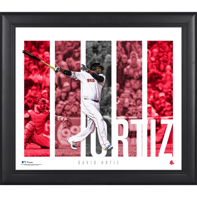 David Ortiz Boston Red Sox Fanatics Authentic Framed Unsigned 15 x 17 2013  World Series MVP Collage with Game-Used Dirt