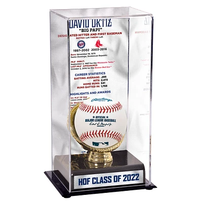 Vitrine de présentation des retraités de baseball des Red Sox de Boston de grande taille de David Ortiz