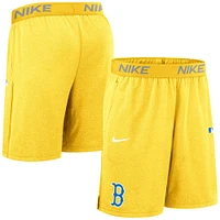 Short en tricot Nike Gold Boston Red Sox Authentic Collection City Connect Performance pour homme