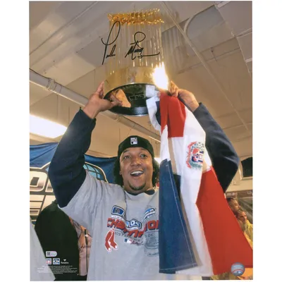 Freddie Freeman Atlanta Braves Fanatics Authentic Unsigned 2021 MLB World  Series Champions Photograph