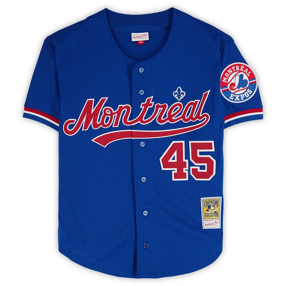 Pedro Martinez Boston Red Sox Autographed Blue Mitchell & Ness Replica Batting Practice Jersey with "HOF 15" Inscription
