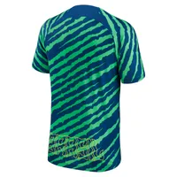 Men's Nike Blue/Green Brazil National Team 2022/23 Pre-Match Top