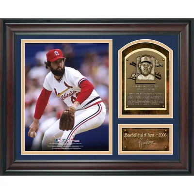 Fanatics Authentic Phil Niekro Atlanta Braves Framed 15 x 17 Hall of Fame Career Profile