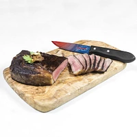 Buffalo Bills 4-Piece Stainless Steel Steak Knife Set