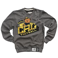 Sweat-shirt de football gris CAL Golden Bears V167747 - SWTMENCRW
