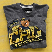 Sweat-shirt de football gris CAL Golden Bears V167747 - SWTMENCRW