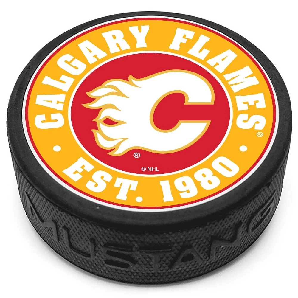 L'équipe du dôme des Flames de Calgary a établi une rondelle