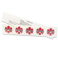 Canada Soccer Viewing Party Kit