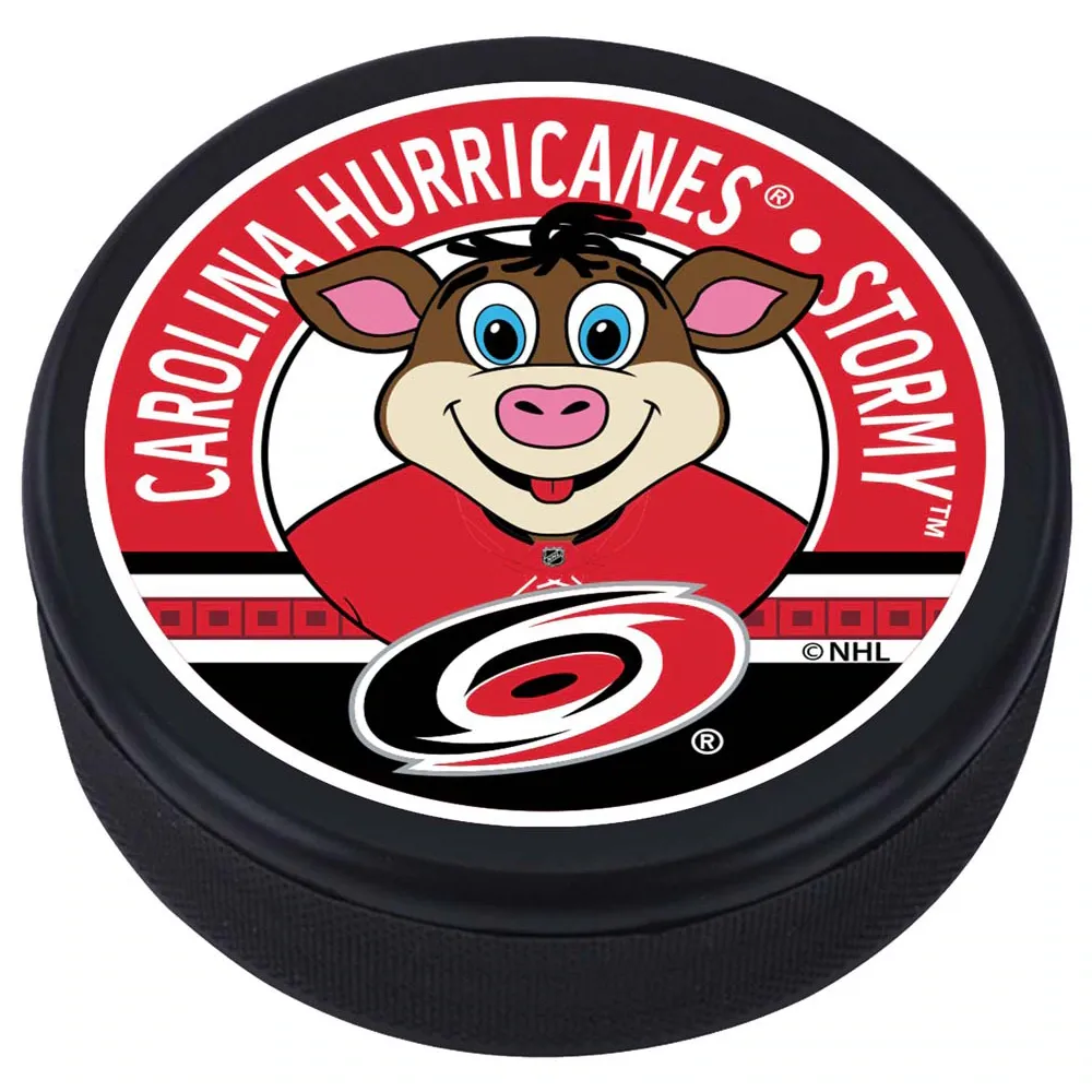 Hurricanes de la Caroline - Conception de mascotte Rondelle de hockey