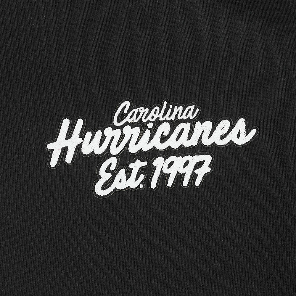 Men's Pro Standard  Black Carolina Hurricanes Paint the City Pullover Hoodie