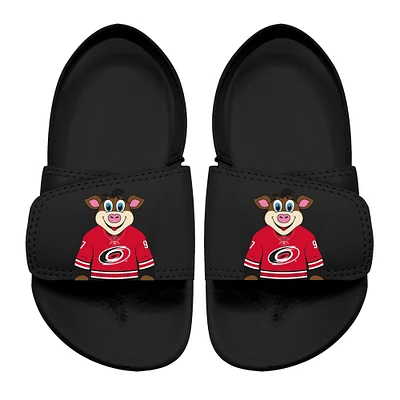 Islide Noir Carolina Hurricanes Mascot Slide Sandales pour Jeunes