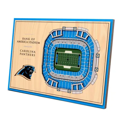 Carolina Panthers 14'' x 10.5'' 3D StadiumViews Desktop Display