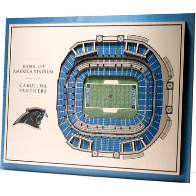 Carolina Panthers 17'' x 13'' 5-Layer StadiumViews 3D Wall Art