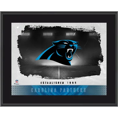 Lids Carolina Panthers Fanatics Authentic 8'' x 10'' Deluxe