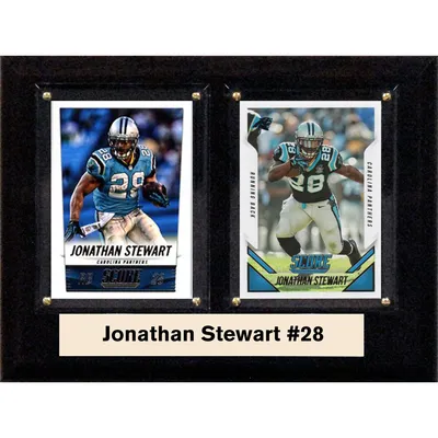Jonathan Stewart Carolina Panthers 6'' x 8'' Plaque