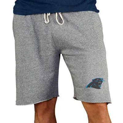 Carolina Panthers Concepts Sport Mainstream Terry Shorts - Gray