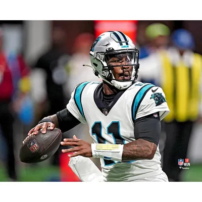 Carolina Panthers Unsigned Bank of America Stadium Photograph