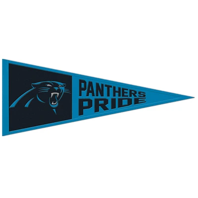 WinCraft Carolina Panthers 13" x 32" Slogan Pennant