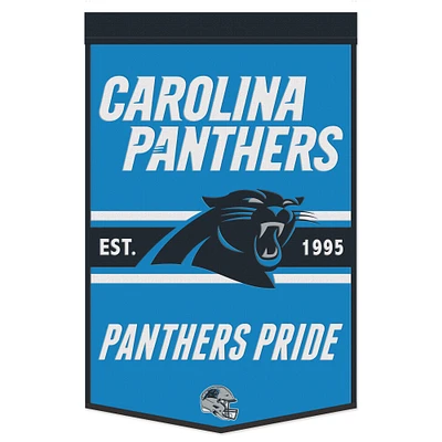 WinCraft Carolina Panthers 24" x 38" Championship Banner