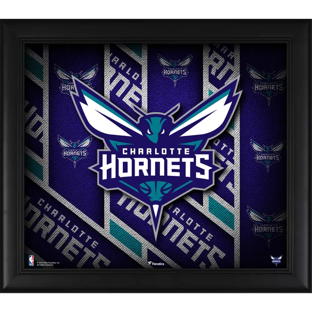 17 Charlotte Hornets All Jerseys and Logos ideas