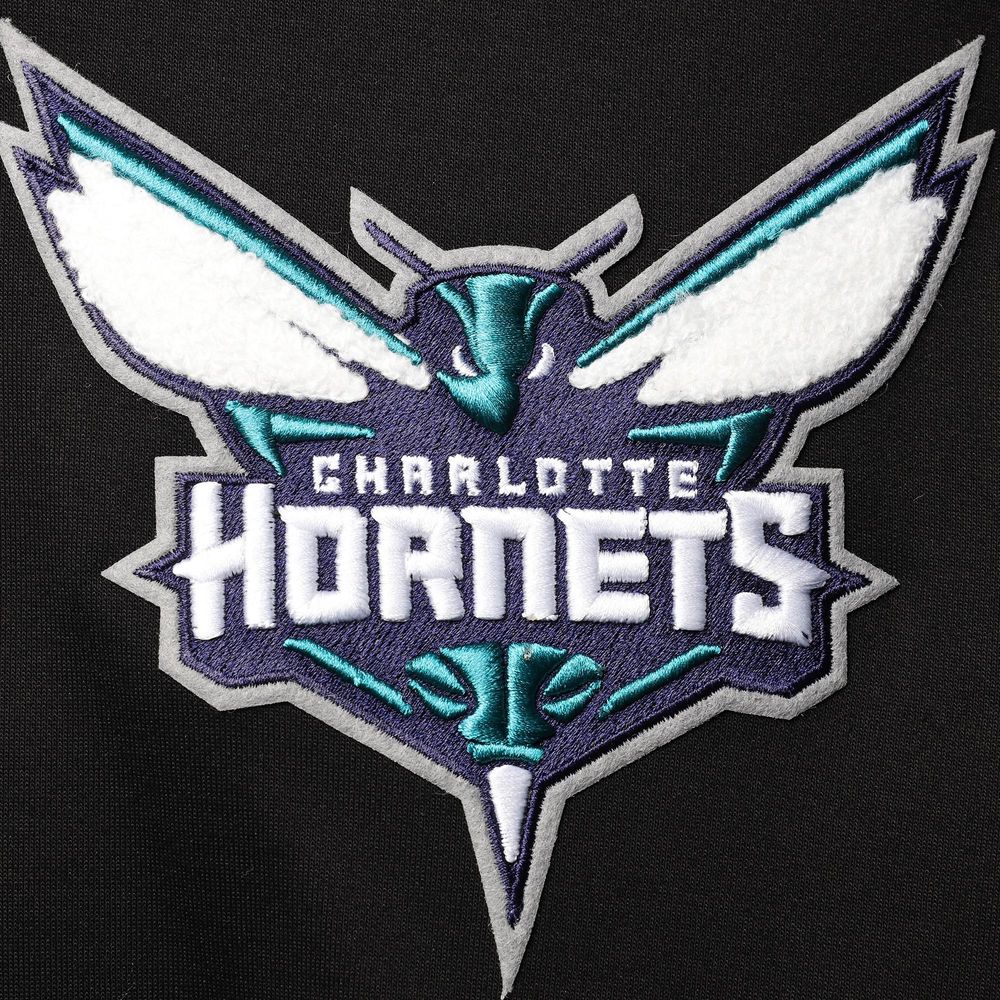 Men's Pro Standard Black Charlotte Hornets Logo Pullover Hoodie