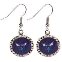 Women's Charlotte Hornets WinCraft Round Dangle Earrings