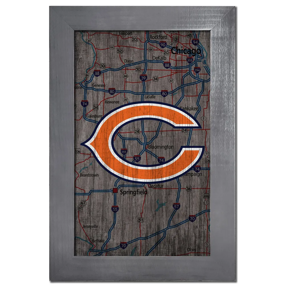 chicago bears city