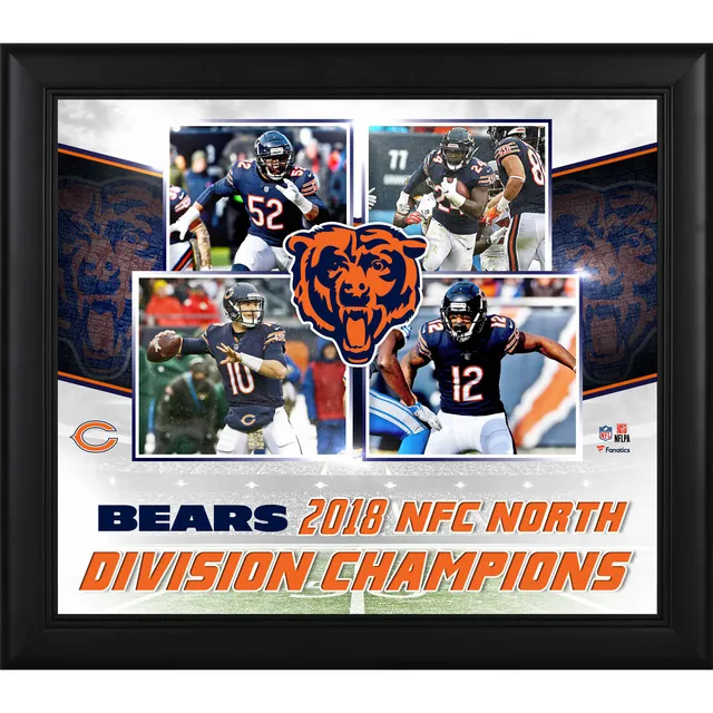 Lids Chicago Bears Fanatics Authentic Framed 15 x 17 2018 NFC North  Division Champions Collage