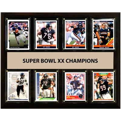 Lids Chicago Bears Fanatics Authentic Framed Super Bowl XX